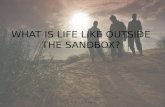 What is life like outside the sandbox?