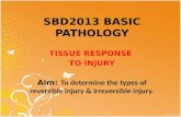 Lab 3 - Tissue Response to Injury