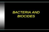 Bacteria and Biocide