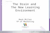 ASTD NY - Tailoring e-learning using Neuroscience and Work Styles