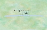 Ch. 5  lipids to be taught