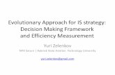 Evolutionary Approach for EIS Strategy Decision Making Framework and Efficiency Measurement