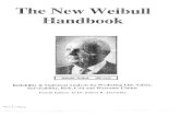 Abernethy - The New Weibull Handbook