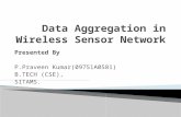 Data aggregation in wireless sensor network , 11751 d5811