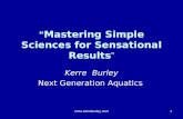 Mastering simple sciences for success