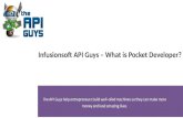 Infusionsoft API Guys - What is Pocket Developer?