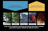 Earth's carbon sinks and sources