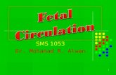 1-fetal circulation