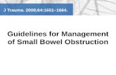 Management of Small Bowel Obstruction