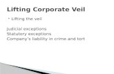 Lifting Corporate Veil Company Law 1