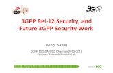 3GPP Rel-12 Security, and Future 3GPP Security Work