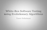 White-Box Software Testing using Evolutionary Algorithms
