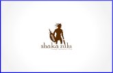Shaka Zulu 1 year social summary