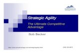 Strategic Agility Introduction