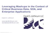 Leveraging Mashups In The Context Of Critical Business Data, Soa, And Enterpirse Applications