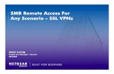 SMB Remote Access For Any Scenario � SSL VPNs