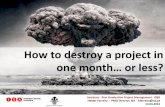 How to destroy a project in one month or less