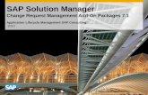 SAP Solution Manager Change Request Management Add-On Packages 7.1