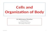 Cells and organisation of body
