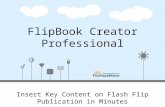 Flip book creator professional – insert key content on flash flip publication in minutes