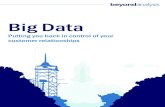 Beyond Analysis: Big data touchpaper Dec 2012