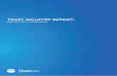 Trust Industry Report - Bens de Consumo