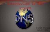 Domain name system presentation