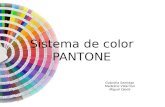 Sistema de Color PANTONE