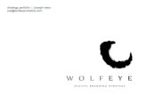 Brand Planning Case Studies by Wolfeye Creative