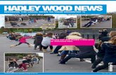 Hadley Wood News January. 2012