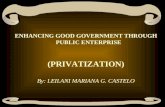 ENHANCING GOOD GOVERNMENT THROUGH PUBLIC ENTERPRISE Privatization