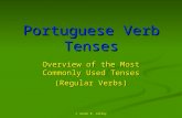 Overview of Portuguese Verbs