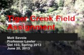Tiger creek field assignment 3
