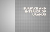 Surface and interior of uranus