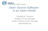 Open Source for an Open World