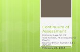 Continuum of assessment lst 2013