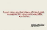 Insect pest management in vegetable crops