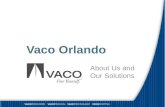 Vaco Orlando - About Us and Our Solutions
