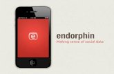 Endorphin. Making sense of social data