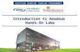 Lesson 5   Intro to Amadeus hands-on labs