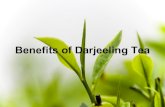 Benefits of darjeeling tea