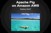Apache Pig on Amazon AWS  - Swine Not?