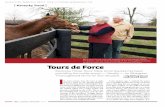 Louisville Magazine - Horse Farm Tours
