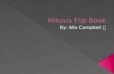Mitosis Flip Book By Alix Campbell