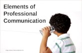 Professional Communication 1 - Basic Elements