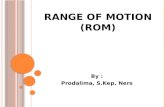 Range Of Motion (ROM)