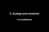 5.4 Classification