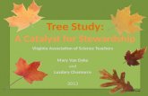 Tree Study A Catalyst for Stewardship