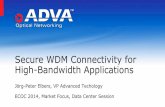 Secure WDM Connectivity for High-Bandwidth Applications