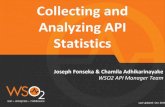 Collecting and Analyzing API Statistics